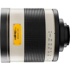 Walimex Pro 800/8.0 DSLR Mirror Canon R
