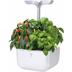 Garden Exky&reg Smart Arctic Vit m 2 Rum