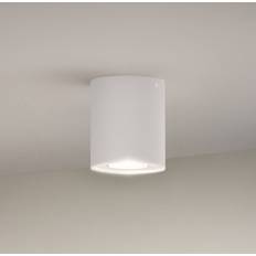Philips Hue Loftlamper Philips Hue Pillar Single Spot White Amb 1 x 4.2W Loftplafond