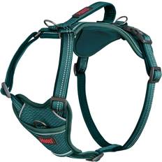 Anatomy Dog Harness with Handle XS