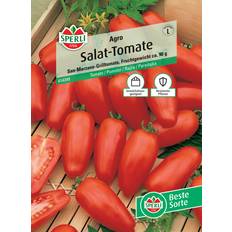 Tomate Gemüsesamen Sperli Salat-Tomate Agro F1