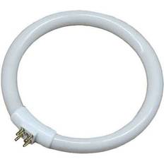 Circular Fluorescent Lamps 12W T4