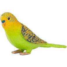 Green Budgerigar 387262