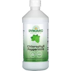 Dynamic Health Chlorophyll, Peppermint 16 fl oz