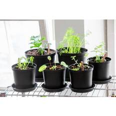 Orthex Planteringskruka Cultivate Ø24 cm 7.5 L