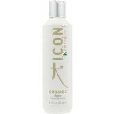 CBD Infused Organic Shampoo