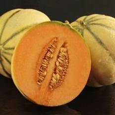 Ornamental Trees Thompson & Morgan Melon Alvaro F1 Hybrid 1 Seed Packet