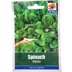 Vegetable Seeds Viking Spinach Seed Packet Green