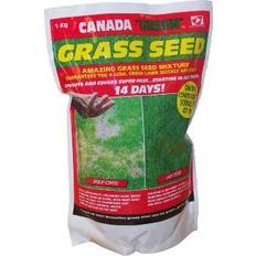 Canada Green Grass Seed 1kg