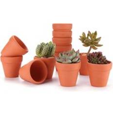 Pots, Plants & Cultivation Ikodm Terracotta Clay Pots 6.5 cm Set of 12