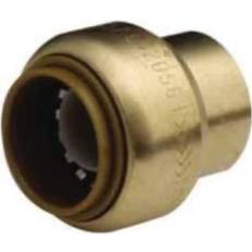 Sewer Brass End Cap Bulk 0.5 in