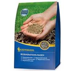 Saatgut Kiepenkerl Regenerationsrasen 250