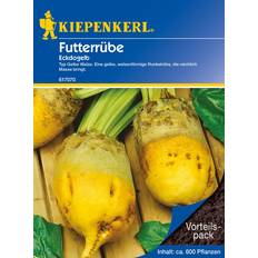 Sonnig Blumensamen Kiepenkerl Futterrübe Eckdogelb 35 g