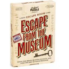 Professor Puzzle Escape from the Museum
