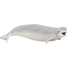 Beluga Whale 56012
