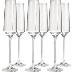 Anders Petter Kökstillbehör Anders Petter Celebration 19 cl 6-pack Champagneglas 6st