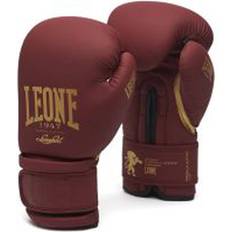 Punching Focus Mitts Leone 1947 Flag Bag Gloves