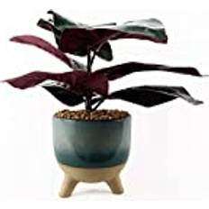 Cheap Artificial Plants Leaf Ficus 35 cm Blue Artificial Plant