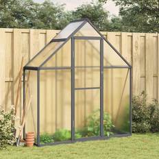 Ceferina Greenhouse 5.5 Ft W x 2 Ft D
