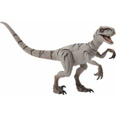 Jurassic World Figurer Jurassic World Hammond Collection Atrociraptor Ghost 8 Year