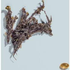 Kindly Omega-3 Vegan Algolja 28 st