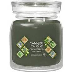 Gröna Doftljus Yankee Candle Olive & Cypress Medium Doftljus