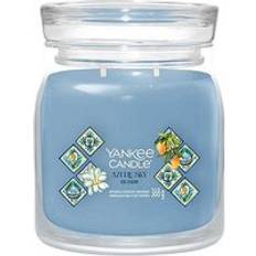 Blåa Doftljus Yankee Candle Azure Sky Medium 368 g Doftljus 411g