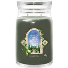 Green Candlesticks, Candles & Home Fragrances Yankee Candle Olive & Cypress 9.3cm x 15.7cm Scented Candle 567g