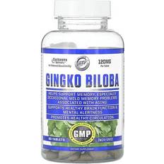 Ginkgo Biloba 120 mg 90 Tablets 90 Stk.