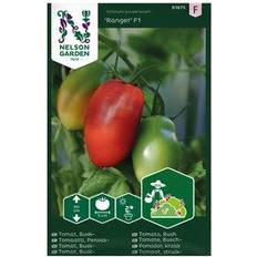 Nelson Garden Busktomat Ranger F1