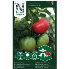 Nelson Garden Fröer Nelson Garden Tomat Rose Crush F1