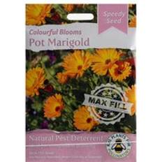 Semi Sombra Plantas Colourful Blooms Pot Marigold