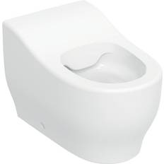 Geberit Bambini Børnetoilet 275 x 300 x 440 mm