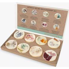 Stoneglow Botanical Soy Discovery Set of 8 Wax Melt