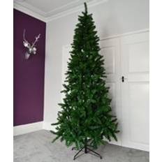 Newfoundland Slim Pine 8Ft 240 cm