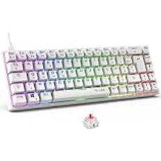 The G-Lab Keyz Titanium Vitt Gamer Tangentbord 65% AZERTY 65% AZERTY USB