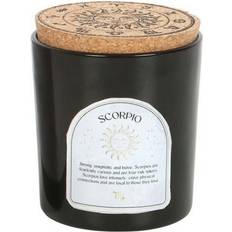 Interior Details Something Different Scorpio Black Zodiac Scented Candle