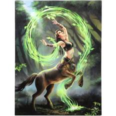 Black Wall Decor Anne Stokes Earth Elemental Sorceress Canvas Plaque 25 cm x 19 cm Wall Decor