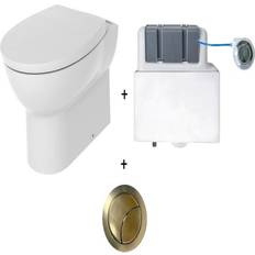 Aquarius QualEco Back To Wall Rimless Toilet