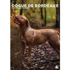 Calendars R Us Dogue De Bordeaux 2025 A3 Size Wirobound Calendar