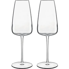 Säker för mikrovågsugn Champagneglas Luigi Bormioli Talismano Champagneglas 40cl 2st