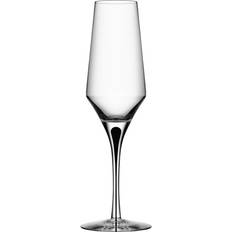 Orrefors Metropol Champagne Glass 27cl