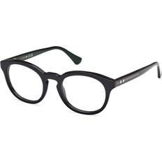 Glasögon & Läsglasögon Web Unisex WE5443 98 Vista Frames Acetate Green