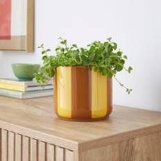 Elements Striped Ceramic Plant Pot