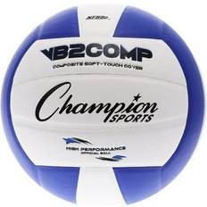 VB2BL Volleyball