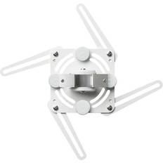 AE013050-P1