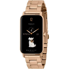 Series 21 with Stainless Steel Band