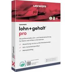 Software per Ufficio Lexware Lohn Gehalt Pro 2025 Abbonamento Windows