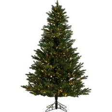Vickerman 6.5 x 52 Balsam Spruce Christmas Tree