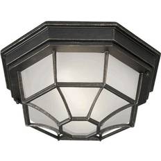 Forte Lighting 1-Light Outdoor Mount Ceiling Flush Light